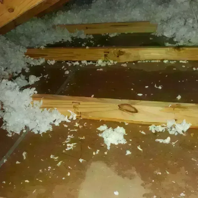 Attic Water Damage in Spiro, OK