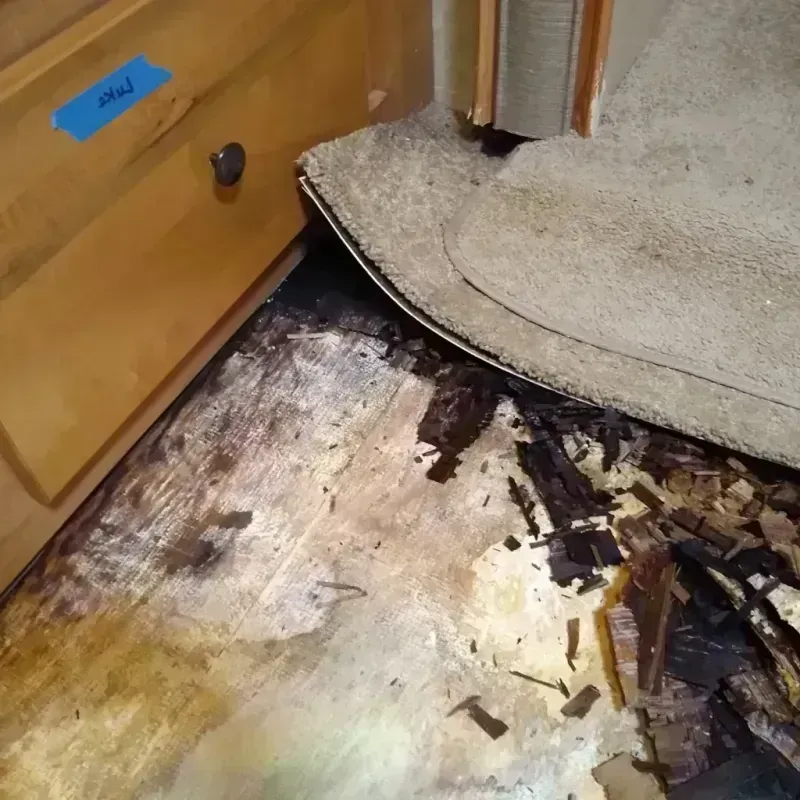 Wood Floor Water Damage in Spiro, OK